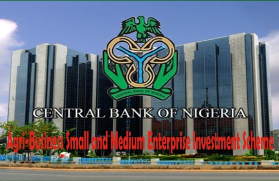 CBN AGSMEIS; 185,000 Applicants in Nigeria Will Benefit from This Loan Scheme