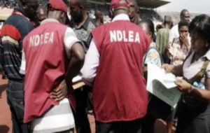National Drug Law Enforcement Agency (NDLEA) Salary Structure in Nigeria