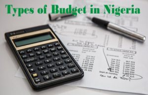 Types of Government Budget in Nigeria and Their Importance 