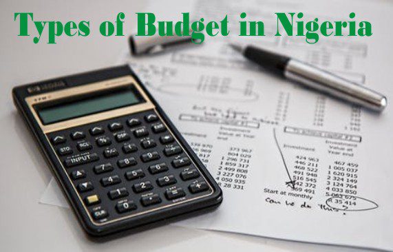 Types of Government Budget in Nigeria and Their Importance