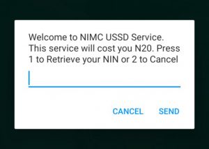 How to Check Your NIN Using USSD Code