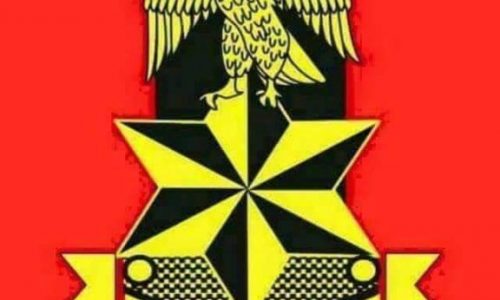 Nigerian Army Logo: Meaning of the Symbols and Arabic Text