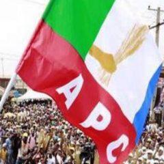 APC Delegates List By States For 2023 Presidency