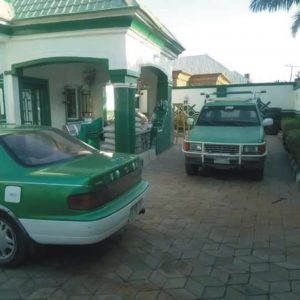 Dr. Dibal Arhyel Wandali Cars coloured in green and white