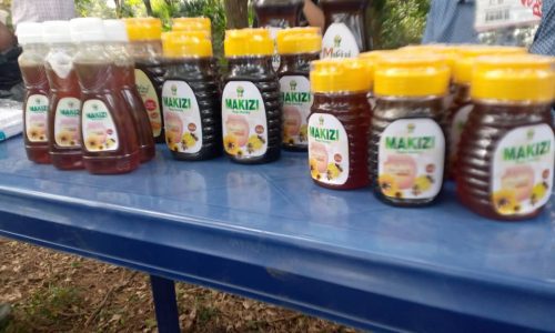 All You Need to Know About Makizi Raw Honey From Umuahia, Abia State