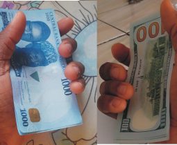 Dollar to Naira Black Market Exchange Rate in Nigeria, May 2023